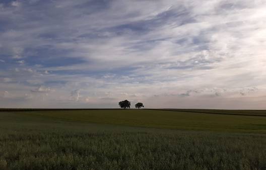 Landschaft Wedler-Krueger